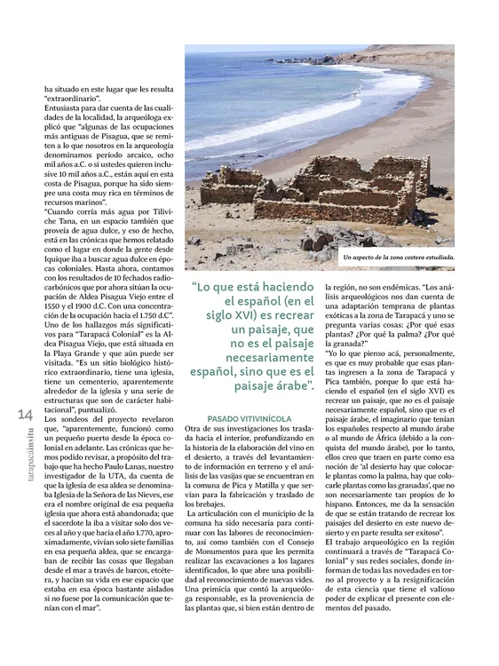 Tarapaca Insitu ed81_PNG14