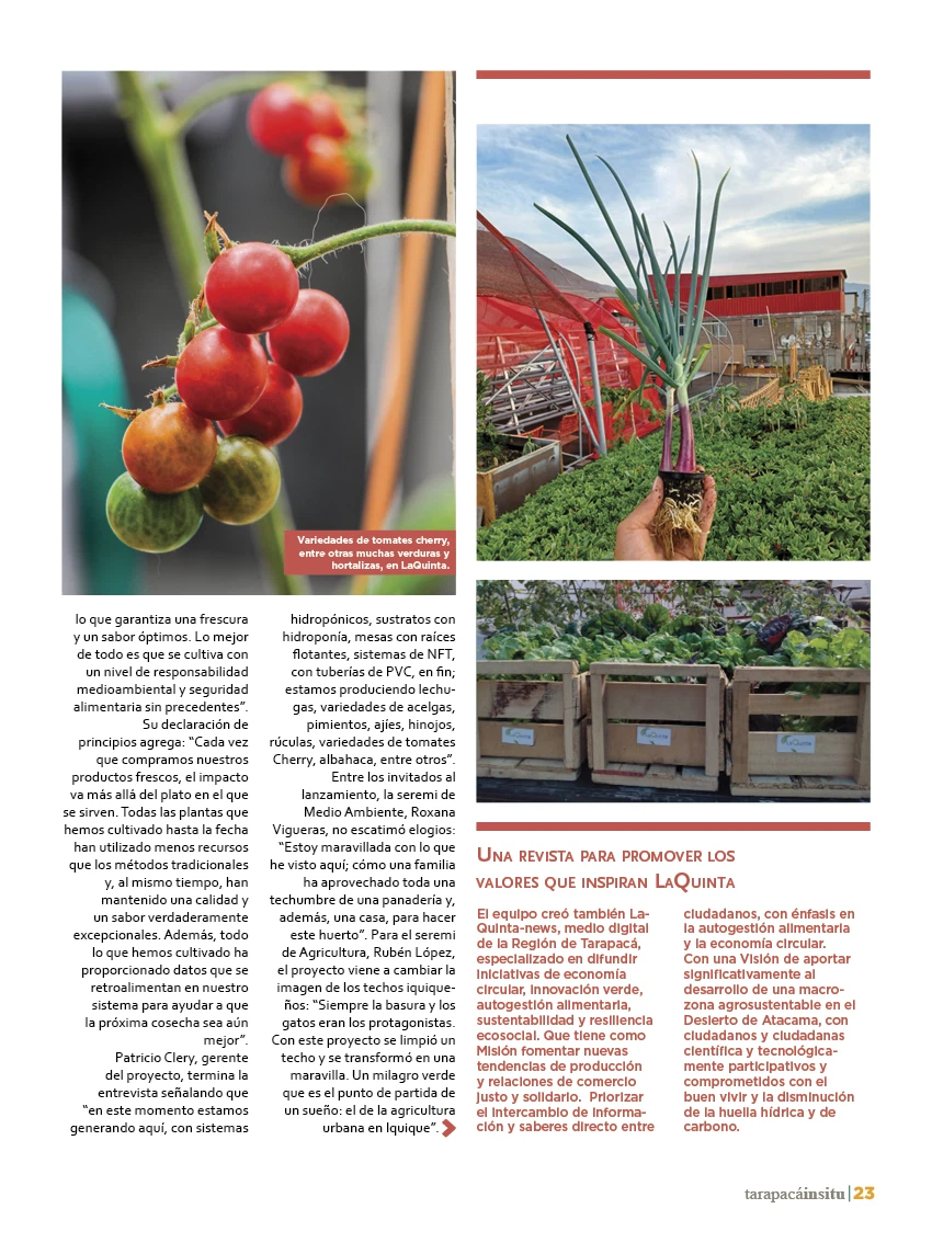 Revista Tarapacá Insitu Edición 38 - P23
