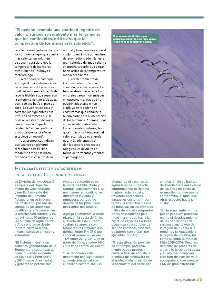 Revista Tarapacá Insitu ed49 - Página5