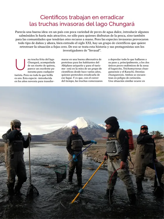 PAGINAS IN SITU 69 MEDIA28