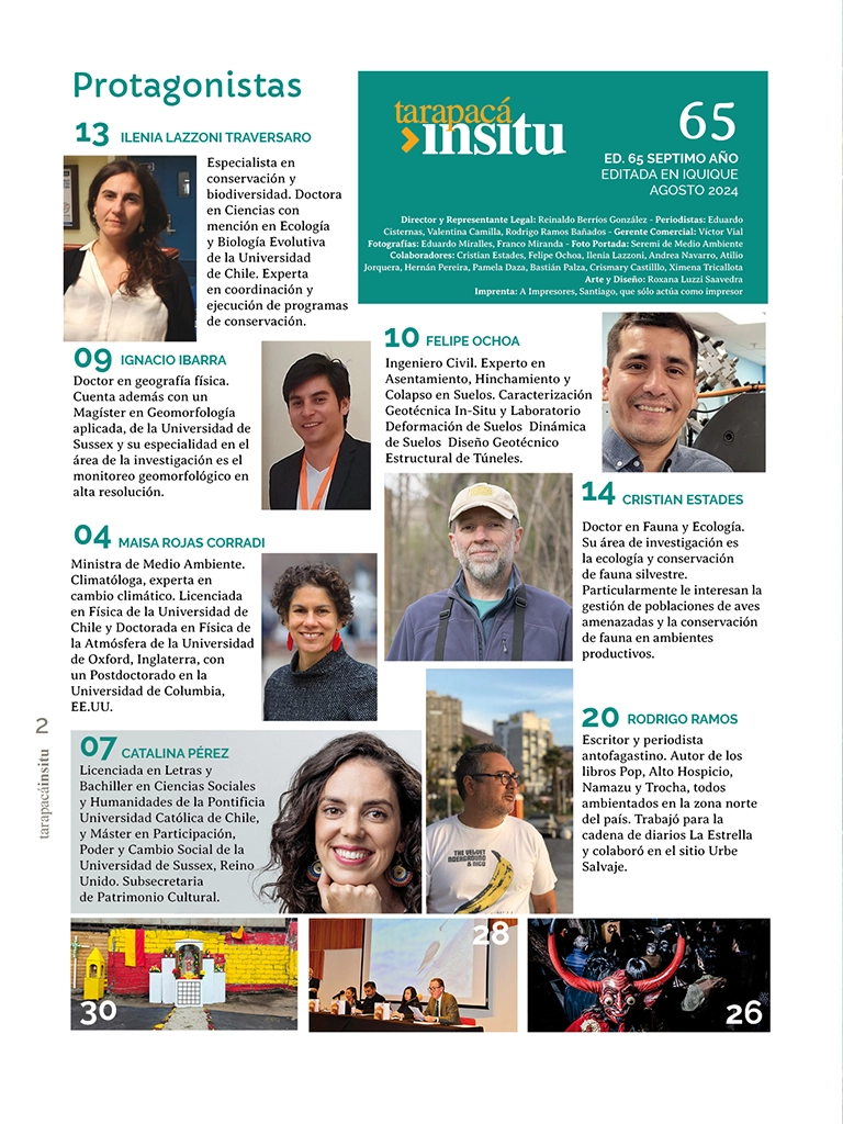 PAGINAS IN SITU 65 P2