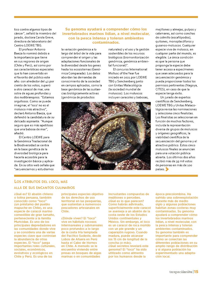 Revista Tarapacá Insitu ed48 - página15