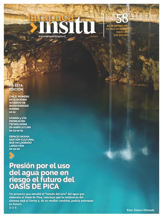 PAGINAS IN SITU 58 CALIDAD MEDIA_Página_01