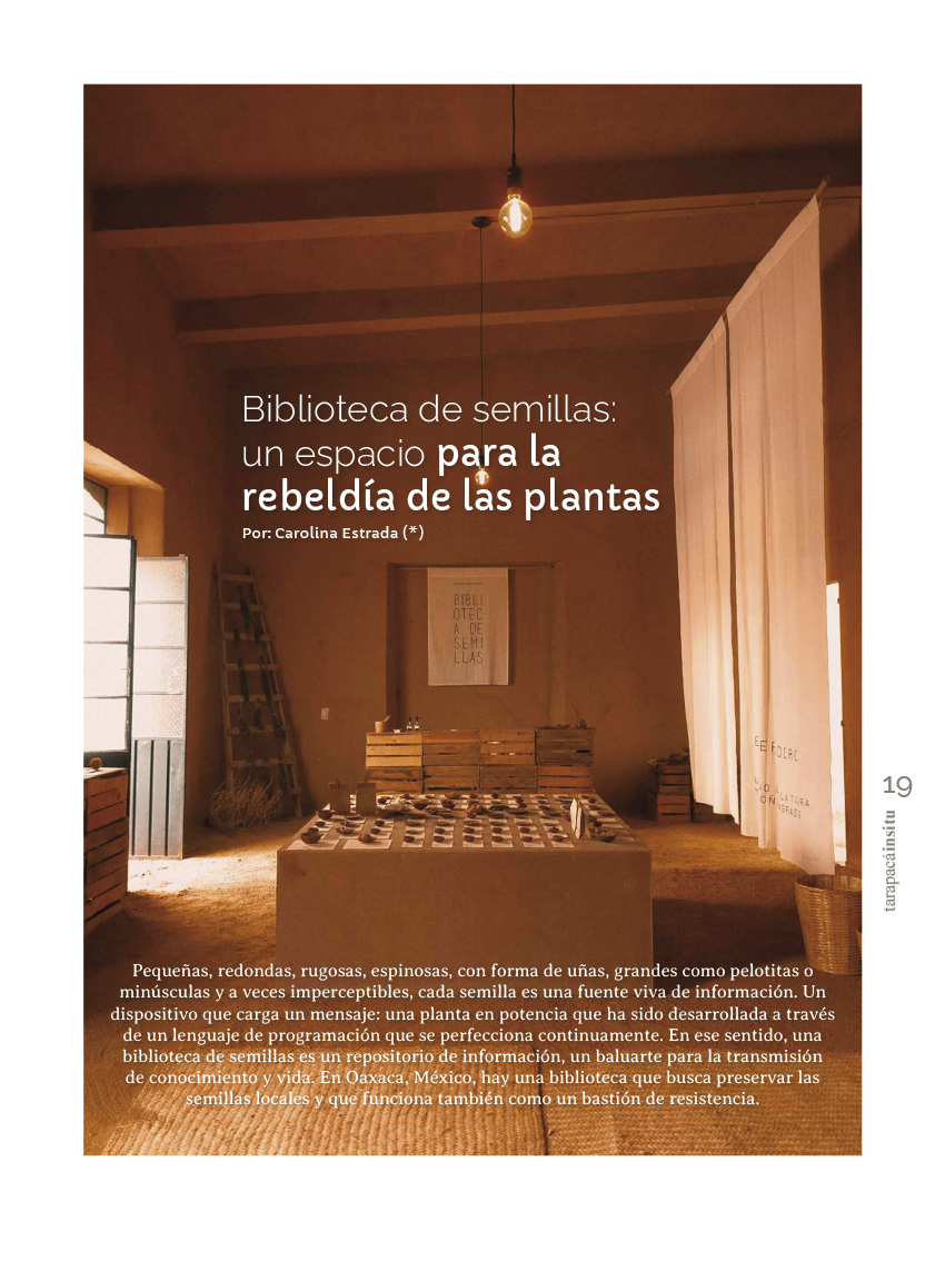 Tarapaca Insitu ed51 - Página19