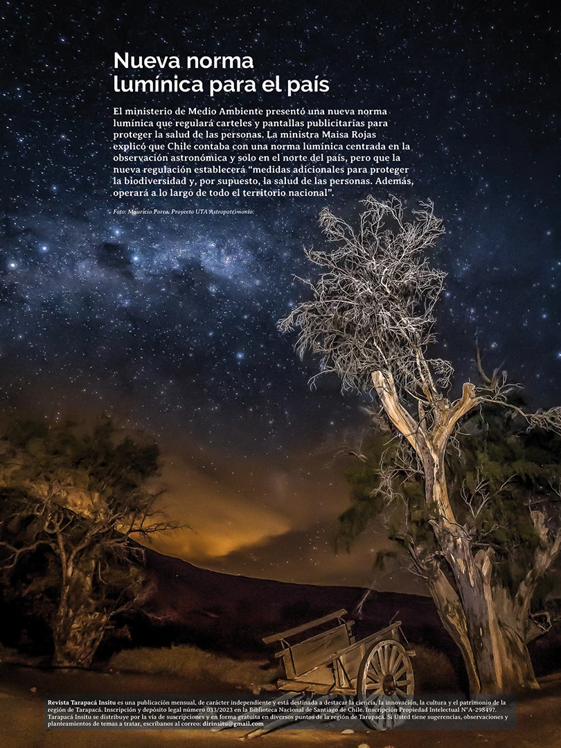 Revista Tarapacá Insitu ed 55 - Página 3