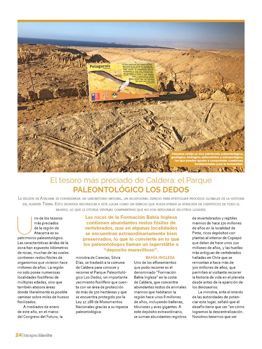 Revista Tarapacá Insitu Ed46 - Página 024