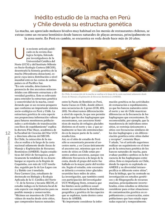 PAGINAS IN SITU 64 MEDIA12