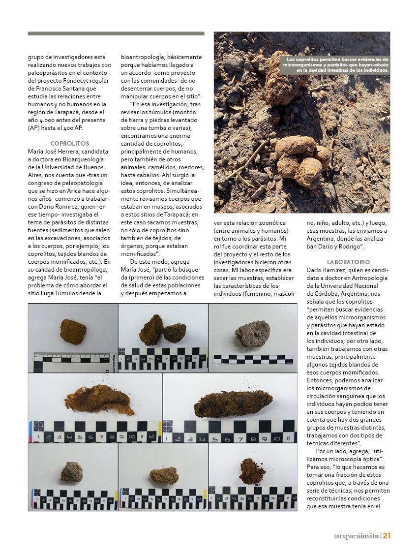 Revista Tarapacá Insitu ed49 - Página21