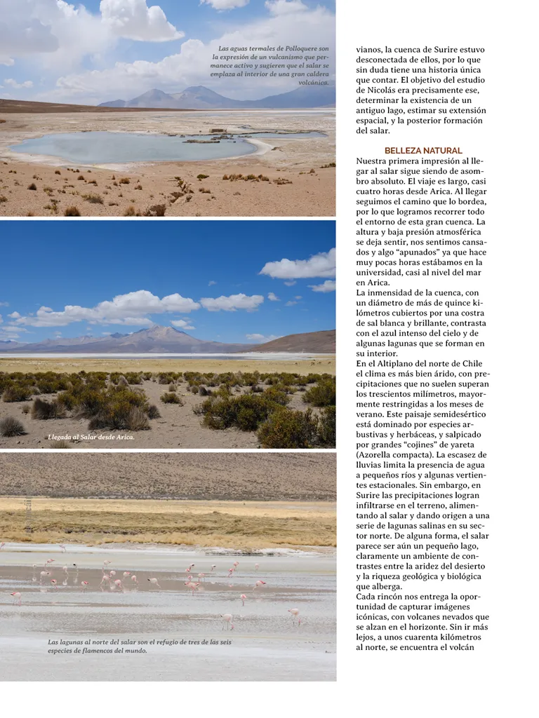 PAGINAS IN SITU 66  PNG4