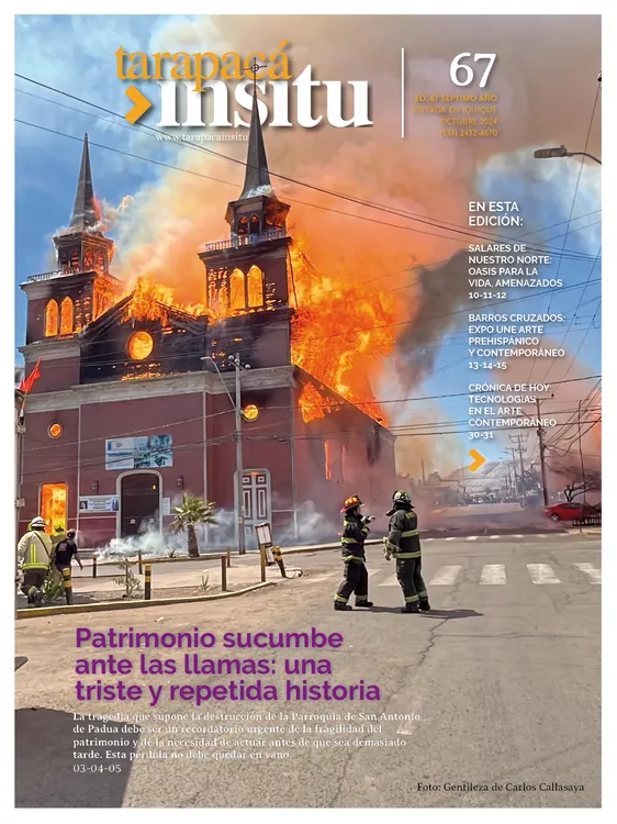 PAGINAS IN SITU 67 ALTA(1)