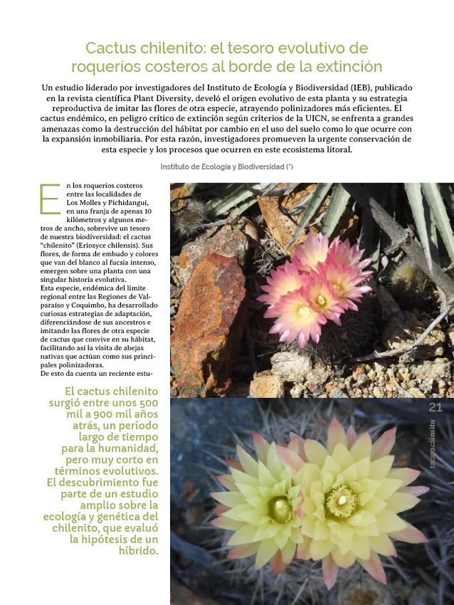 PAGINAS INSITU 78 PNG21
