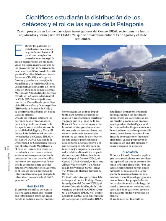 PAGINAS IN SITU 64 MEDIA18