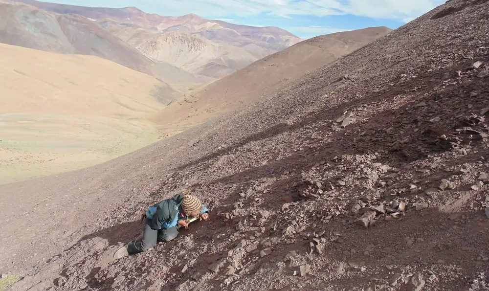 cementerio pterosaurios 1