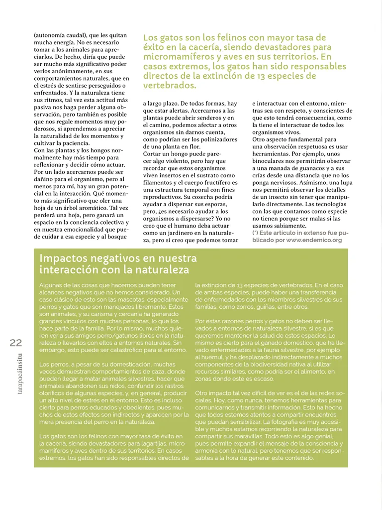 PAGINAS IN SITU 66  PNG22