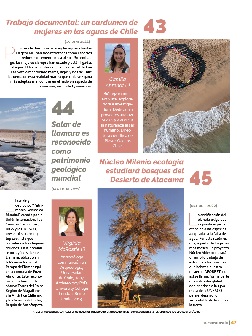 Revista Tarapacá Insitu ed50 - Página 47