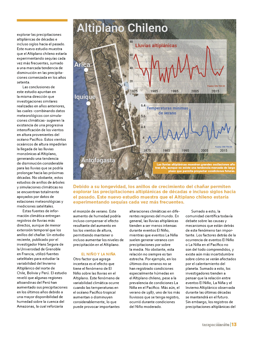 Revista Tarapacá Insitu ed50 - Página 13