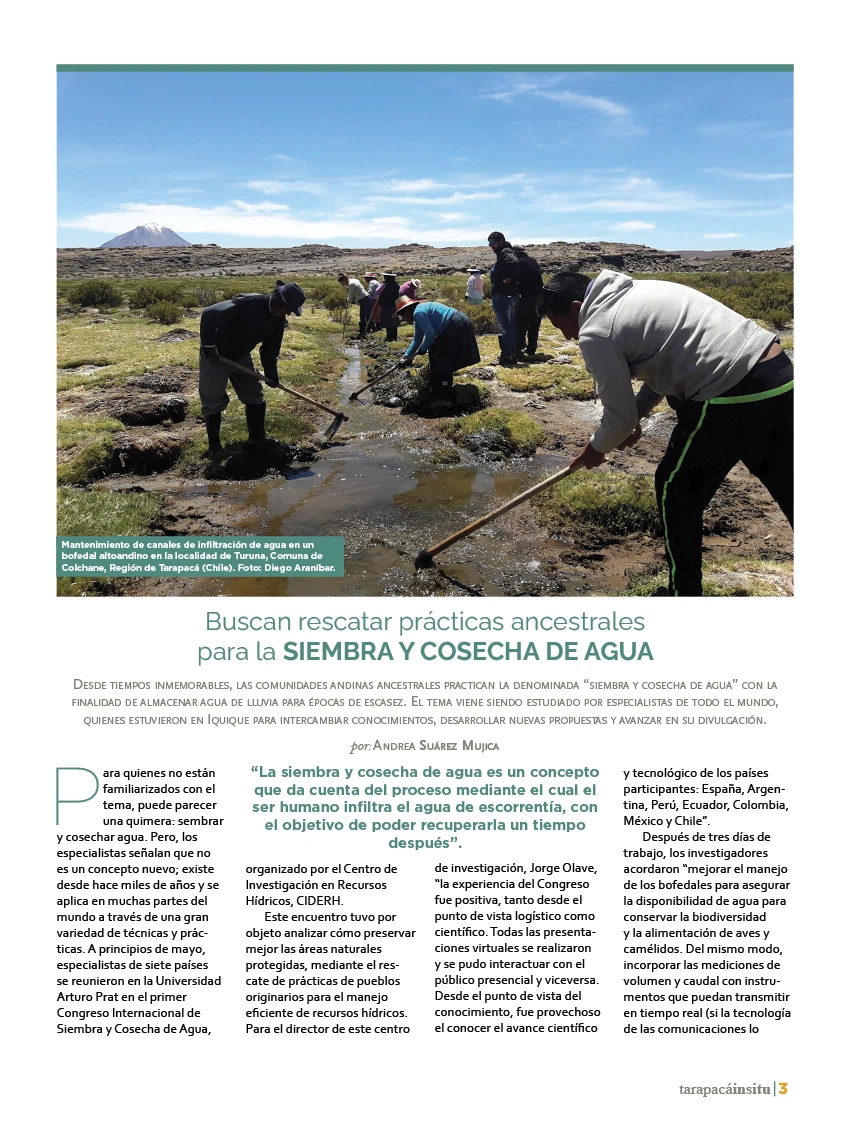 Revista Tarapacá Insitu Edición 38 - P3
