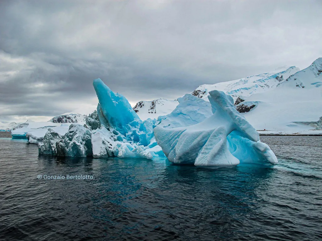Antartica 1