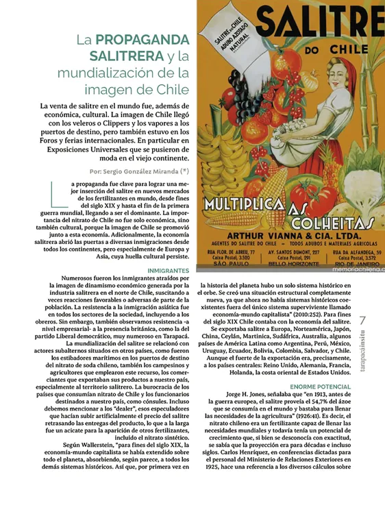 Tarapacá Insitu ed53 - Página 7