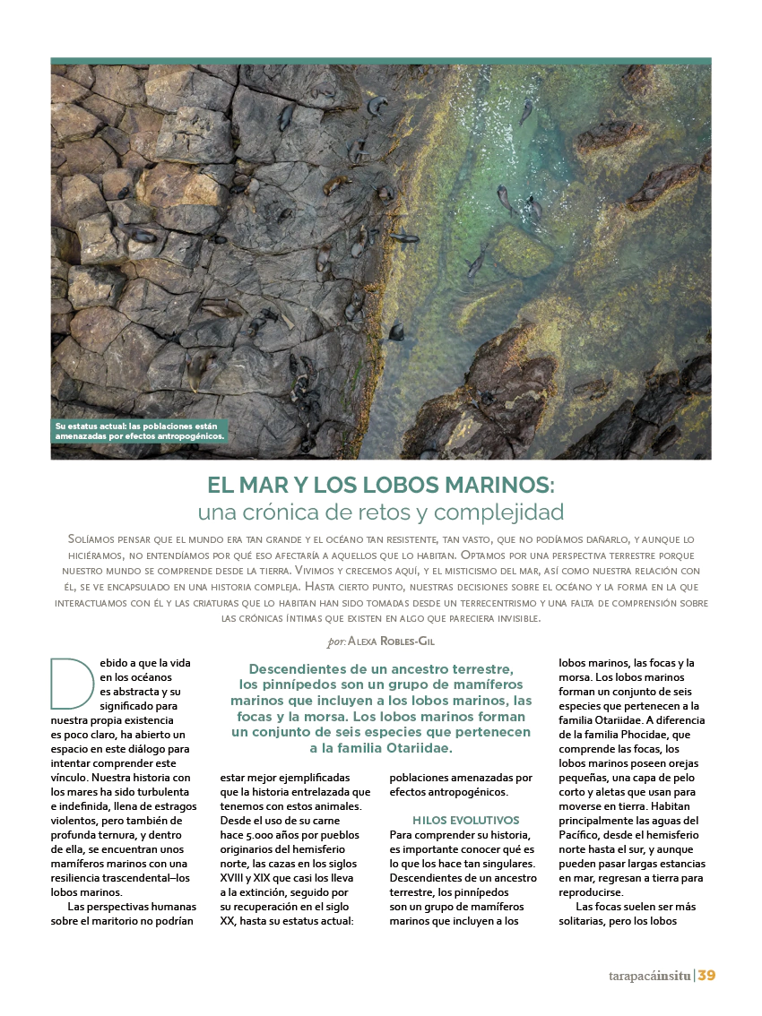 Revista Tarapacá Insitu ed50 - Página 39