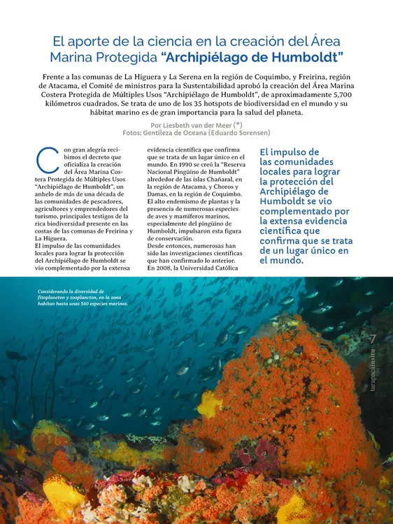 PAGINAS IN SITU PNG7