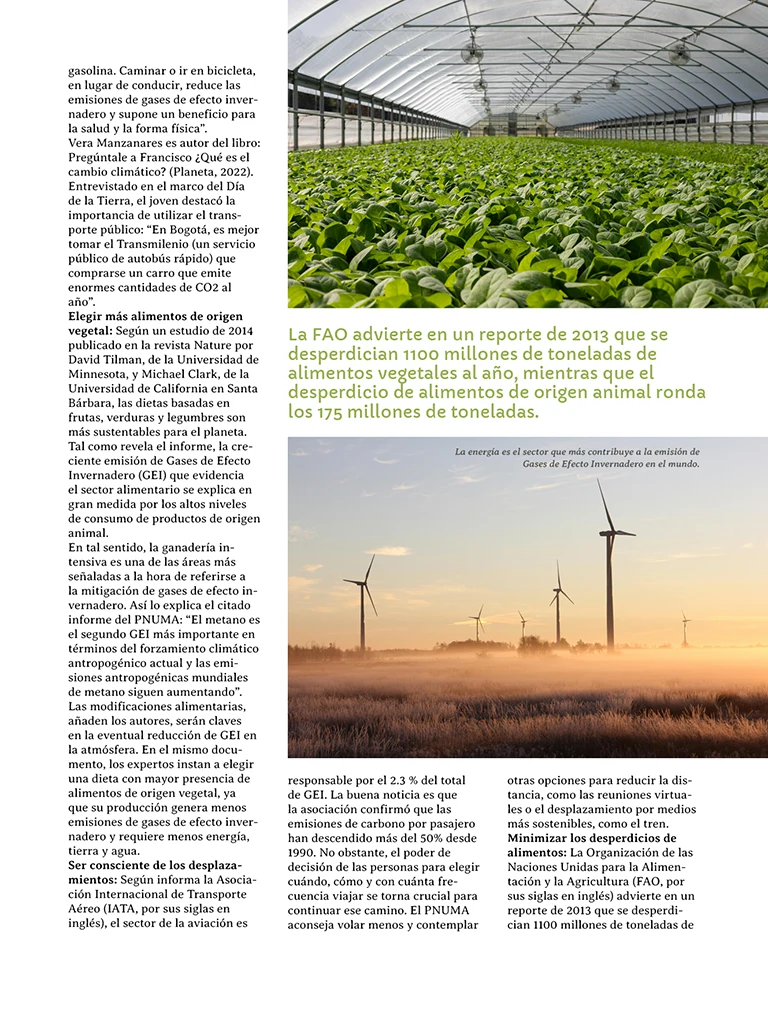 PAGINAS INSITU 73 MEDIA11