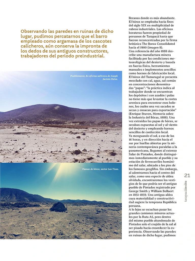 PAGINAS INSITU 73 MEDIA21