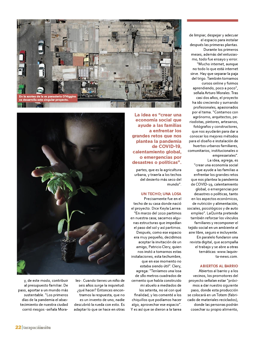 Revista Tarapacá Insitu Edición 38 - P22