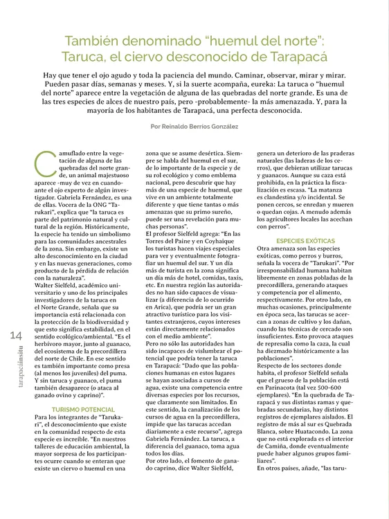 PAGINAS IN SITU 69 MEDIA14