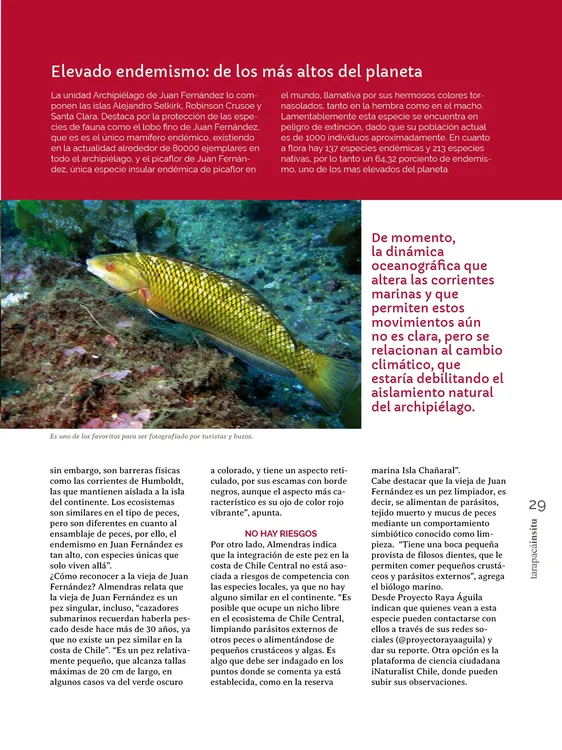 PAGINAS INSITU 72 PNG29