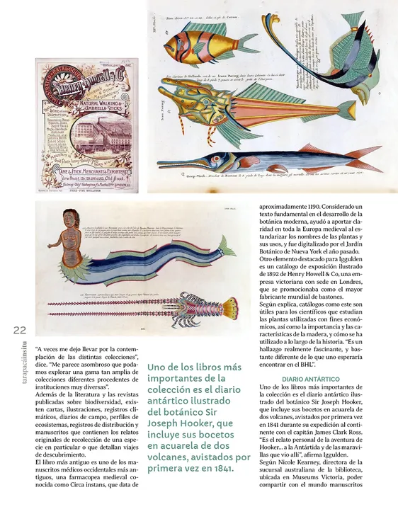 Tarapaca Insitu ed81_PNG22