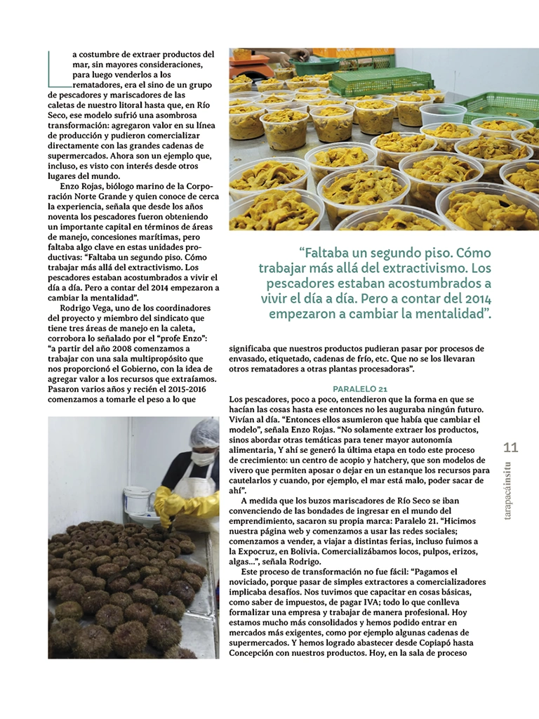 Revista Tarapacá Insitu ed54 - Página11
