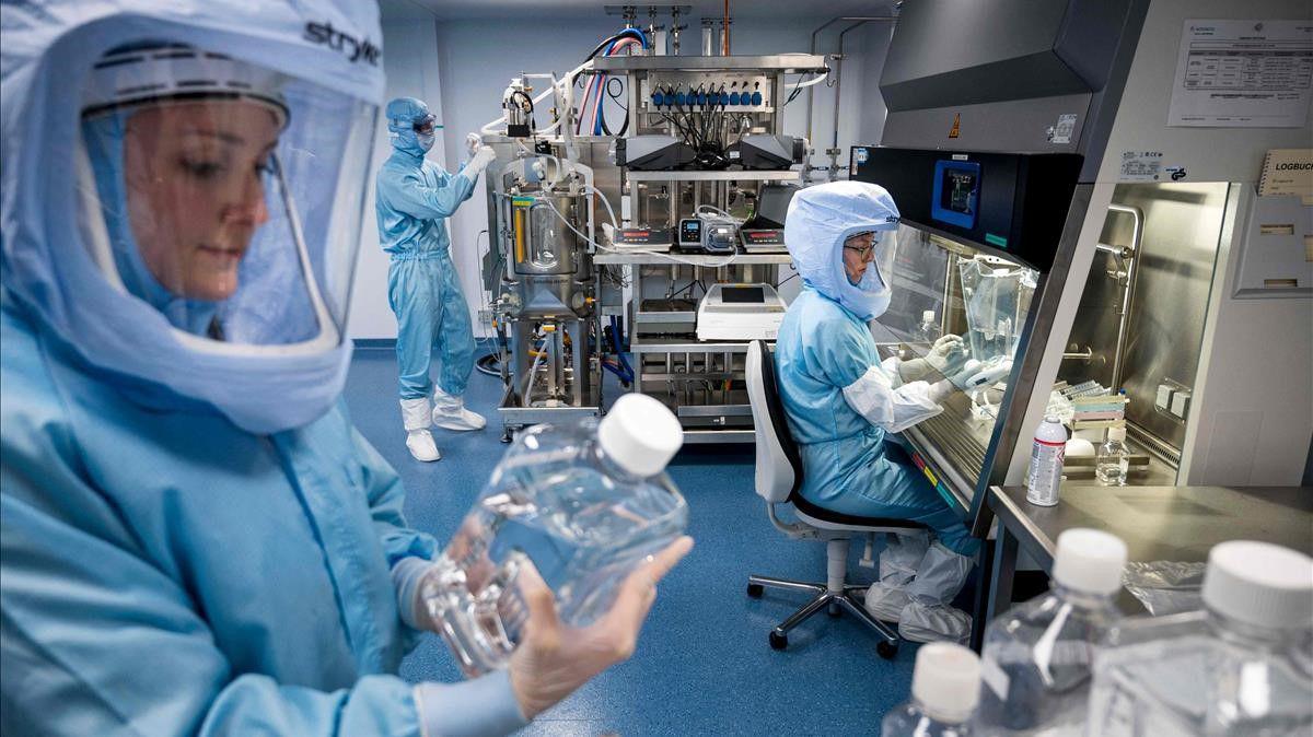 ciencia 6
