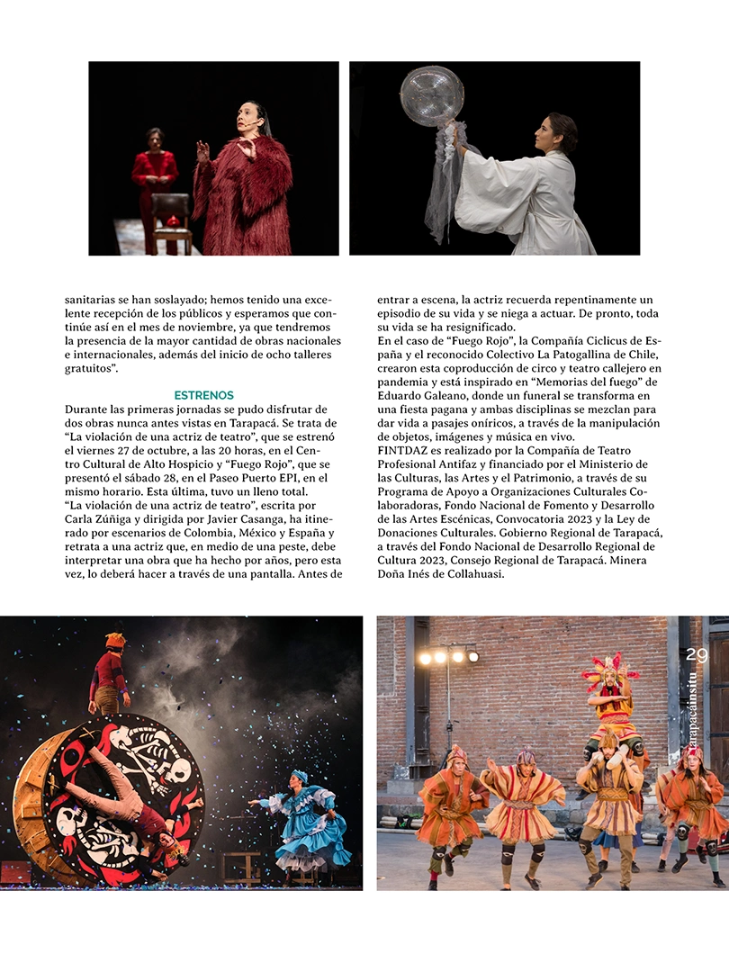 Revista Tarapacá Insitu ed 55 - Página 29