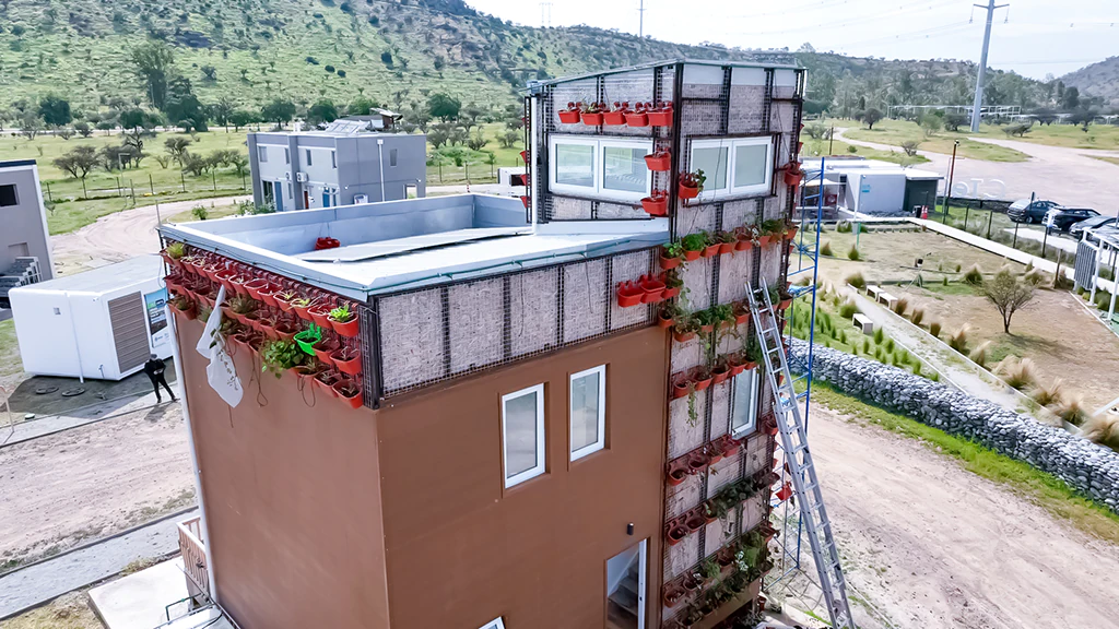 Pruebas de plantas en muros verdes