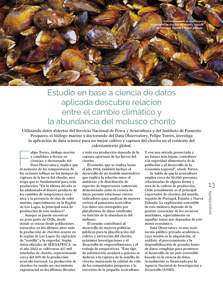 Revista Tarapacá Insitu ed54 - Página13