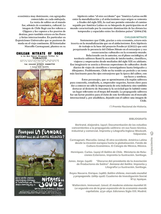 Tarapacá Insitu ed53 - Página 9