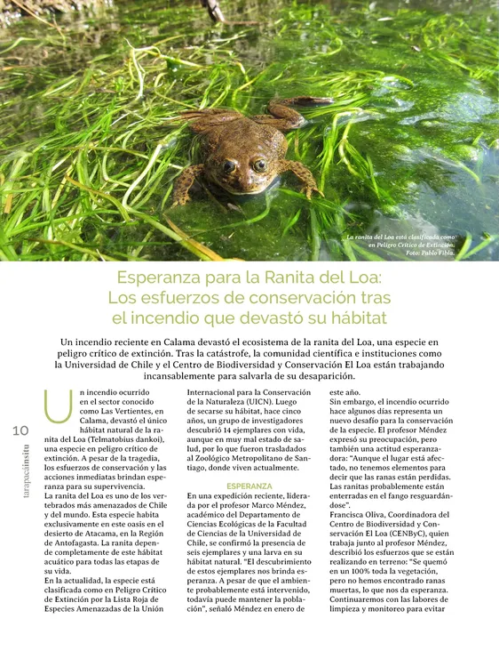 PAGINAS IN SITU 64 MEDIA10