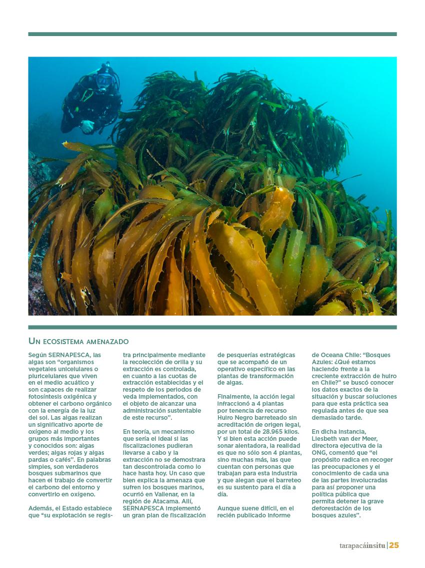 Revista Tarapacá Insitu ed49 - Página25