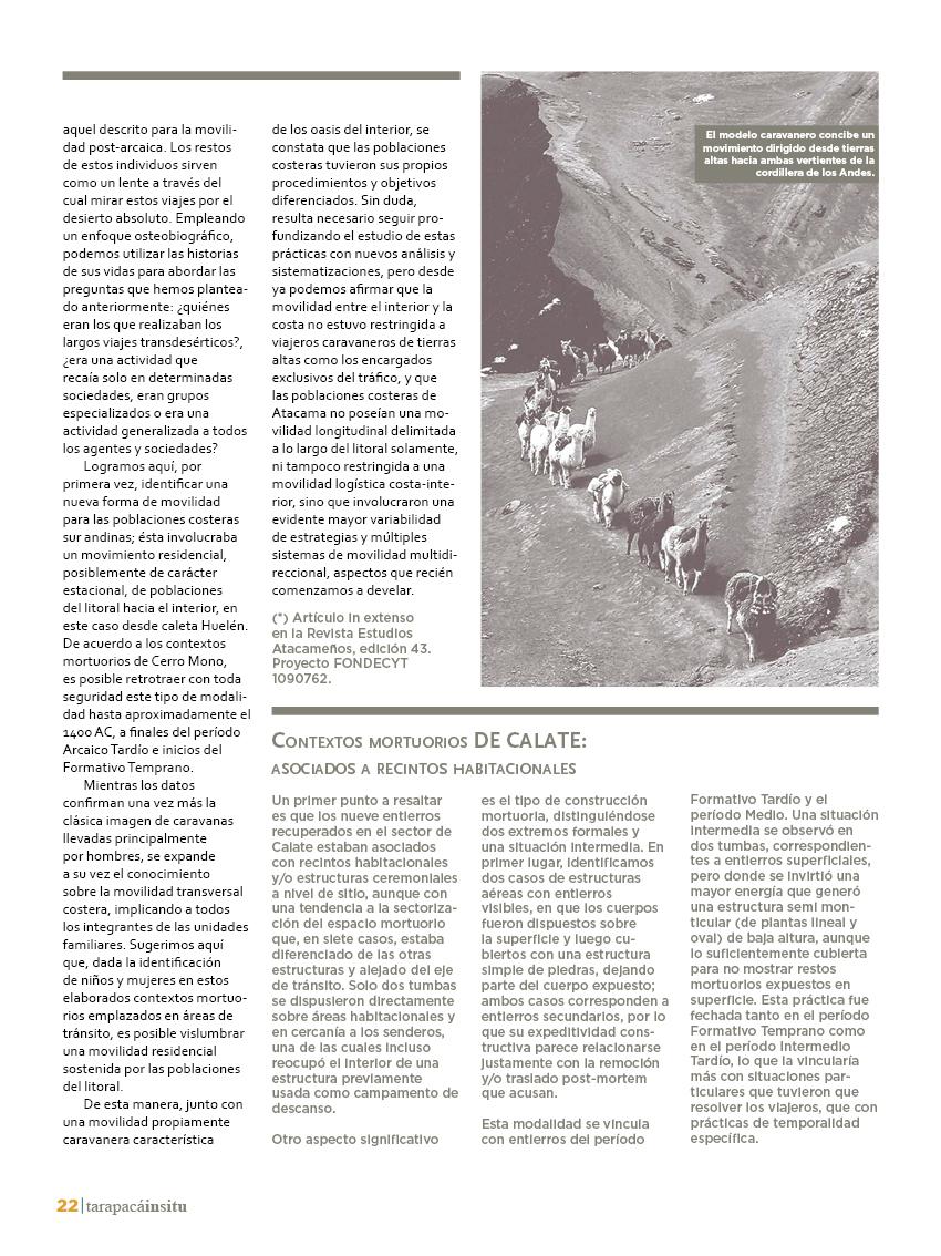 Revista Tarapacá Insitu Ed44 - Página22