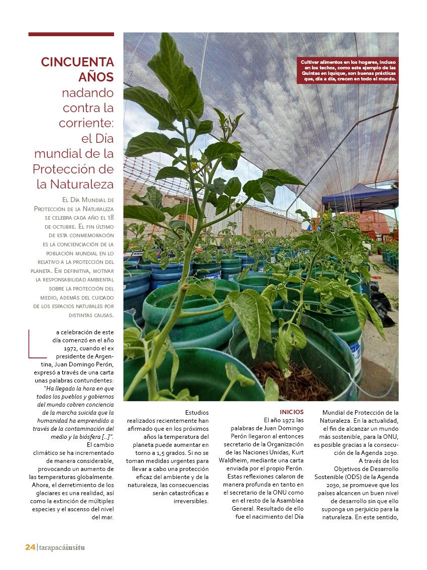 tarapacainsitued4324