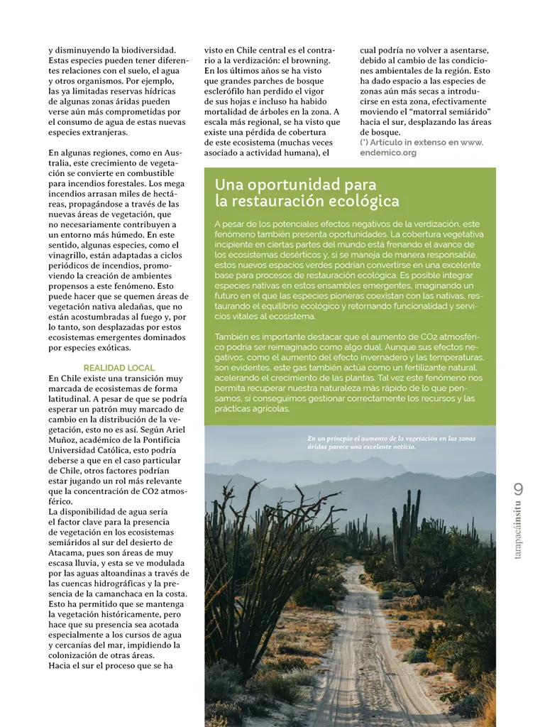 PAGINAS INSITU 71 MEDIA9