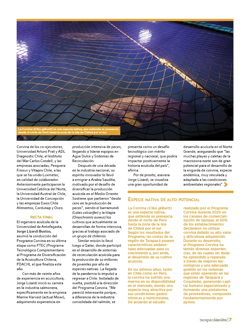 Revista Tarapacá Insitu Edición 38 - P7