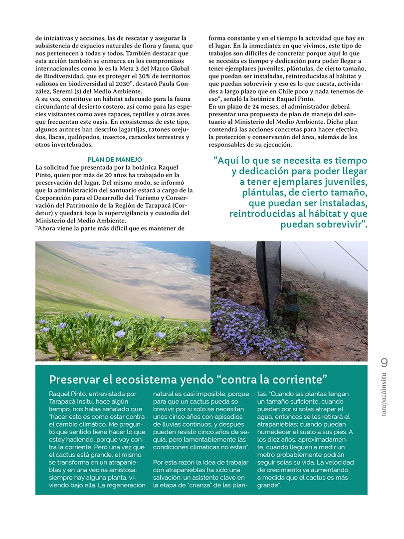 Revista Tarapacá Insitu ed 55 - Página 9