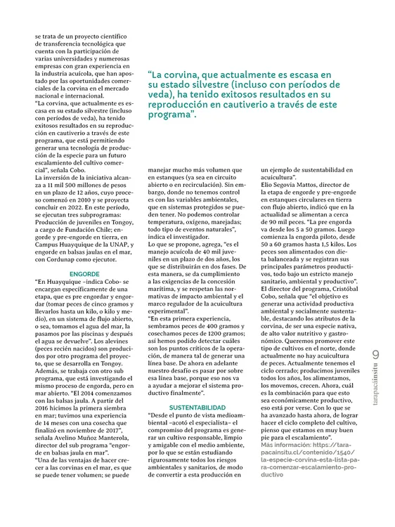 PAGINAS IN SITU 69 MEDIA9