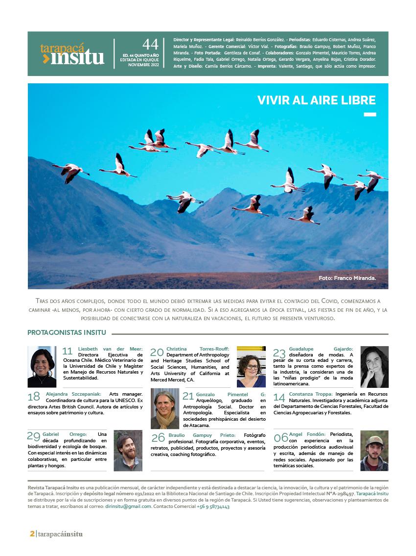 Revista Tarapacá Insitu Ed44 - Página2