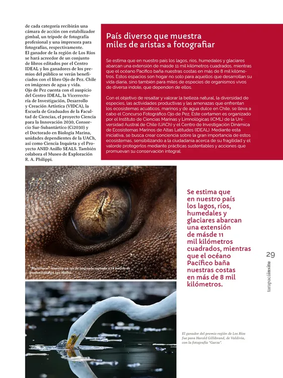 PAGINAS IN SITU 68 MEDIA29