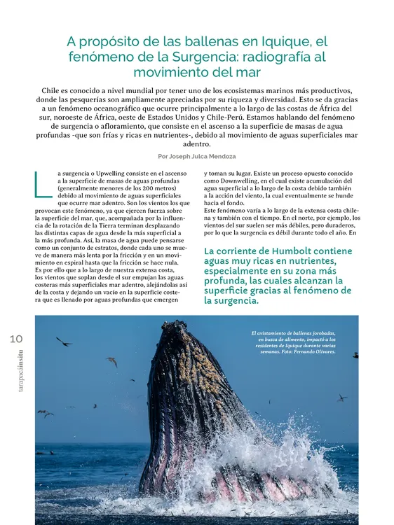 PAGINAS INSITU 72 PNG10