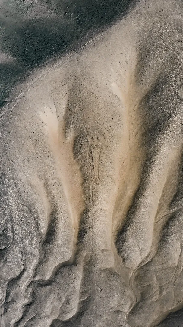 humanoide buena foto-1080