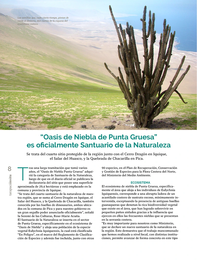 Revista Tarapacá Insitu ed 55 - Página 8